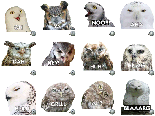 Altivo's Talking Owls